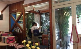 スプレーカーネーション🌼