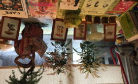 おだやかに❣️